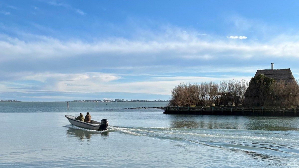 A boat adventure, a wonderful day in the Marano lagoon!